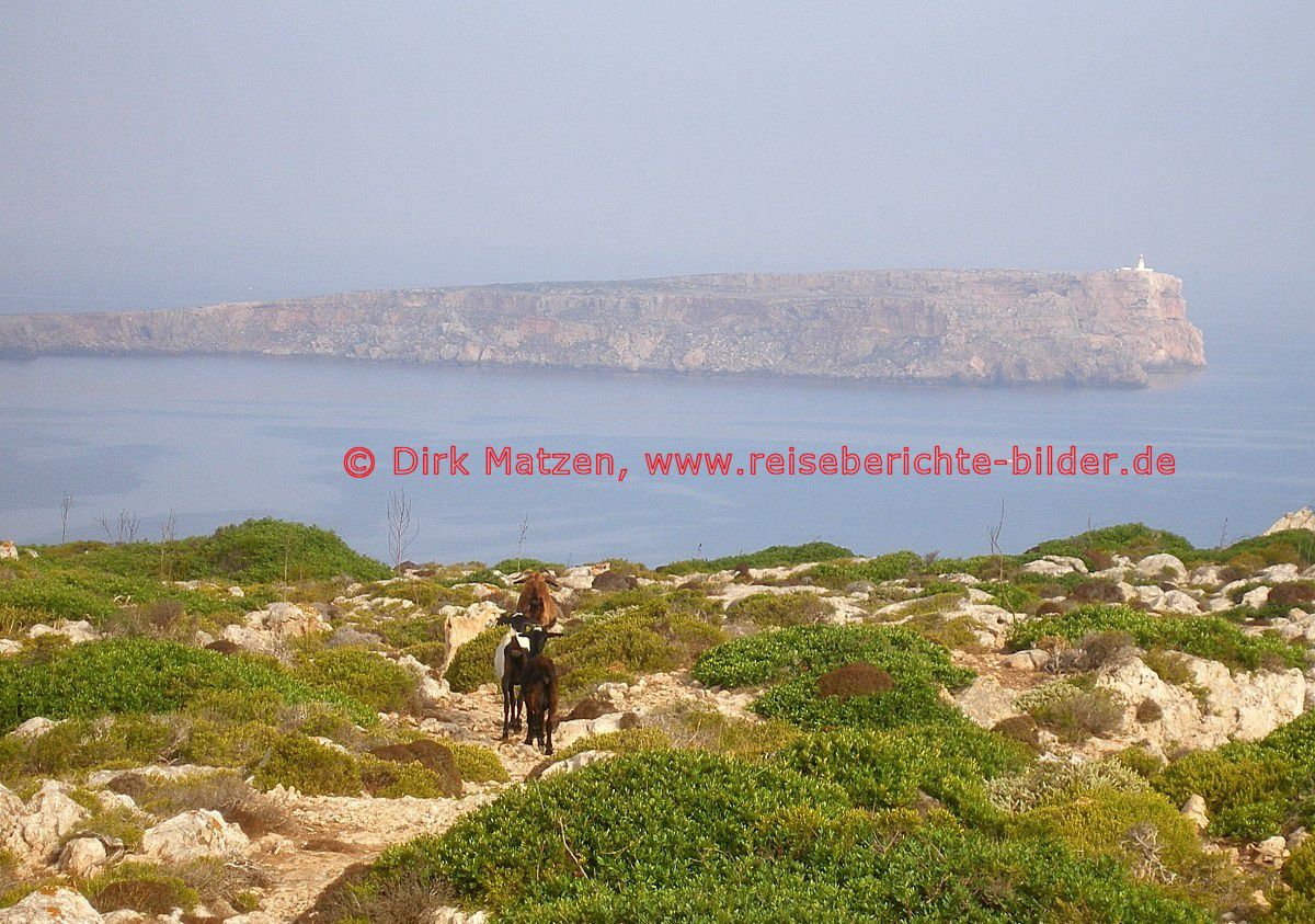 Menorca, Blick zum Cap de Cavalleria