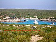 Menorca, boote_in_bucht