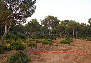 Menorca, mola-de-fornells_wanderweg