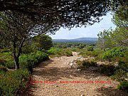 Menorca, naturschutzgebiet_mola-de-fornells