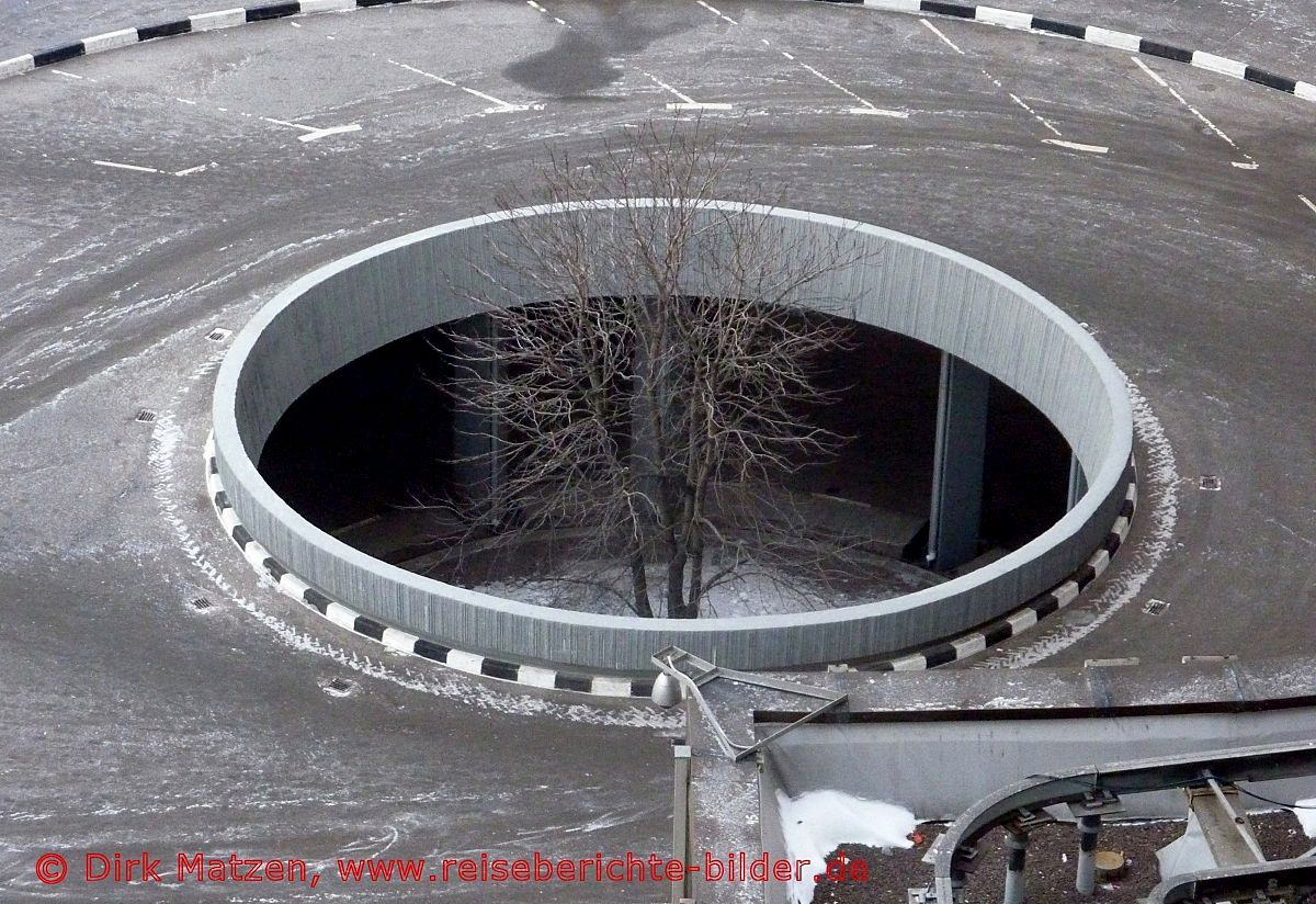 Moskau, Baum