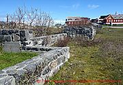 Nuuk, arktischer-garten