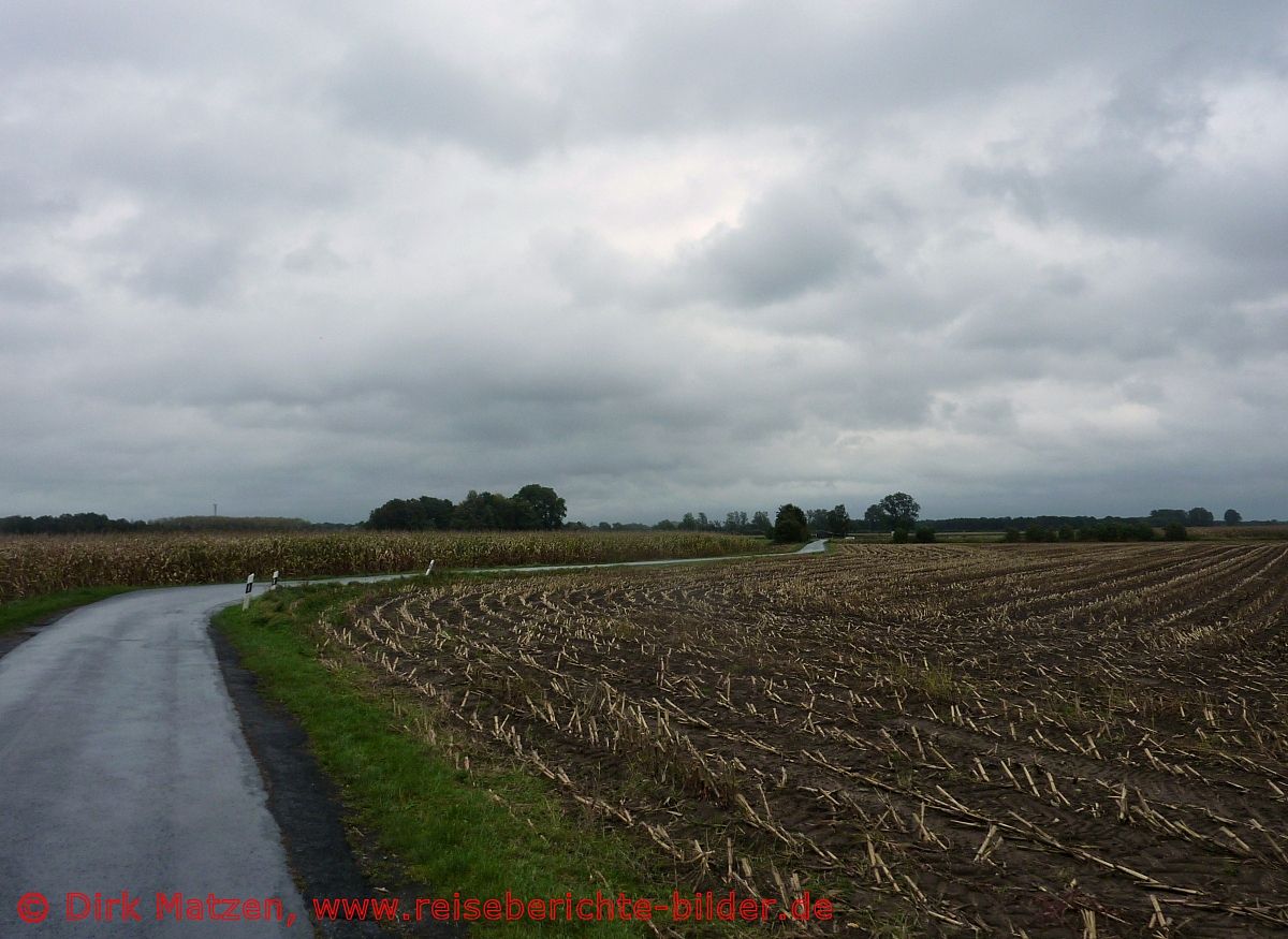 Europa-Radweg R1, vor Harsewinkel