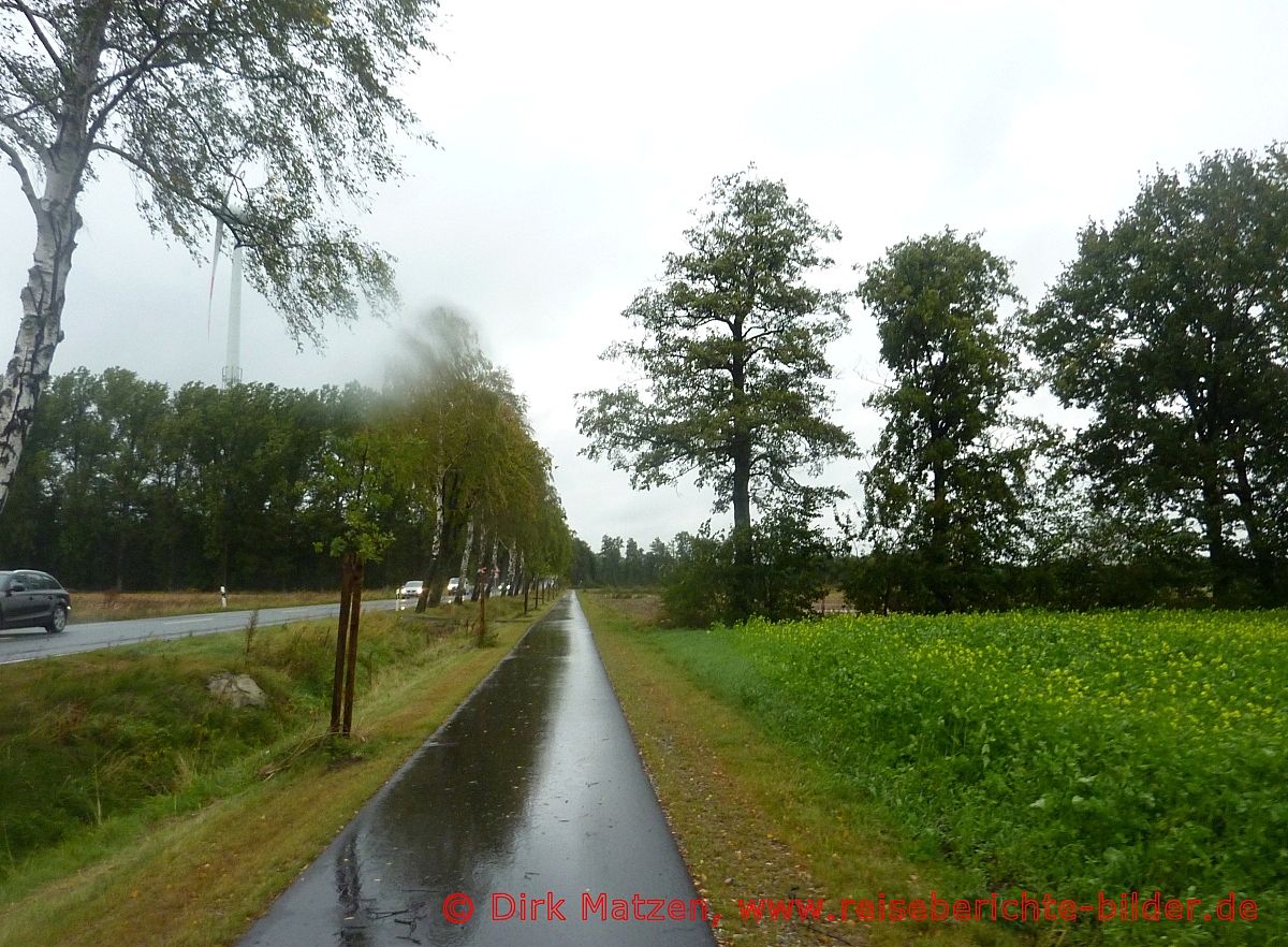 Europa-Radweg R1, bei Gtersloh