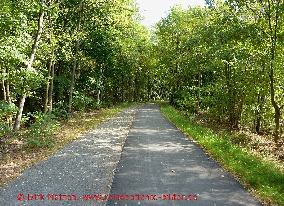 Europa-Radweg R1, vor Bergwitz