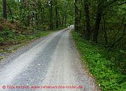 waldweg