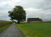 bei-vinsebeck