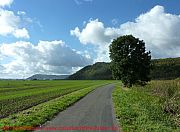 weserbogen-bei-holzminden