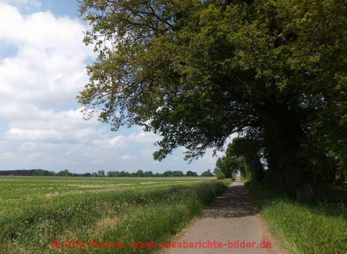 Ilmenauradweg, bei Holxen