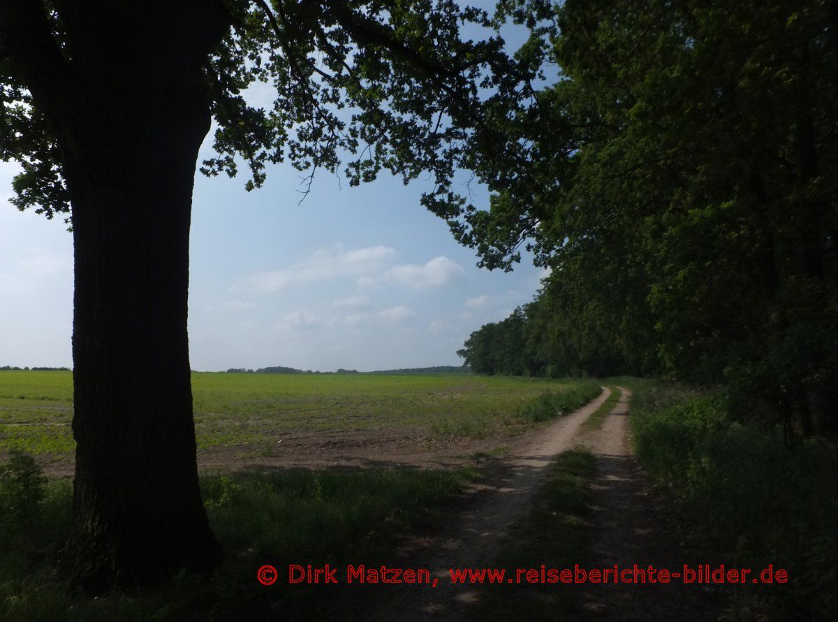 Ilmenauradweg, Bei Holdenstedt