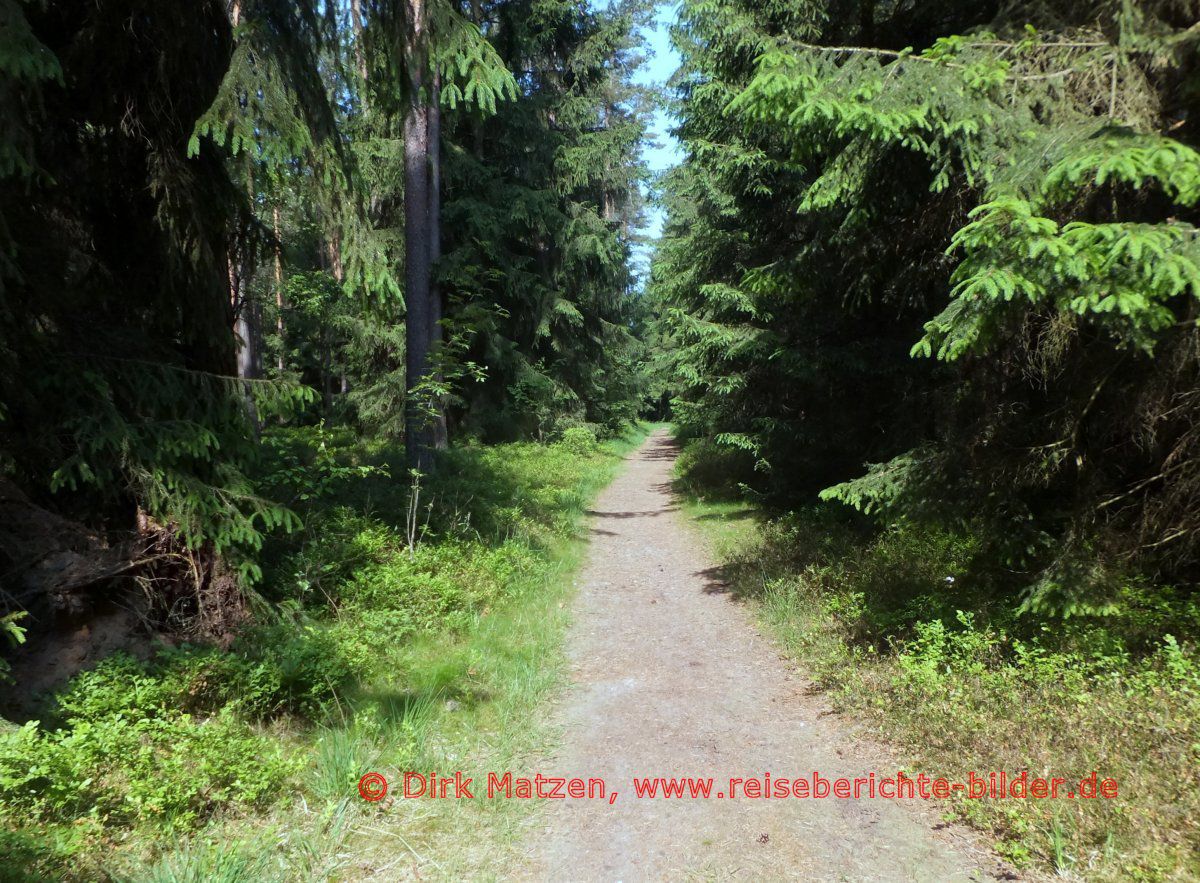 Ilmenauradweg, Veerer Wald