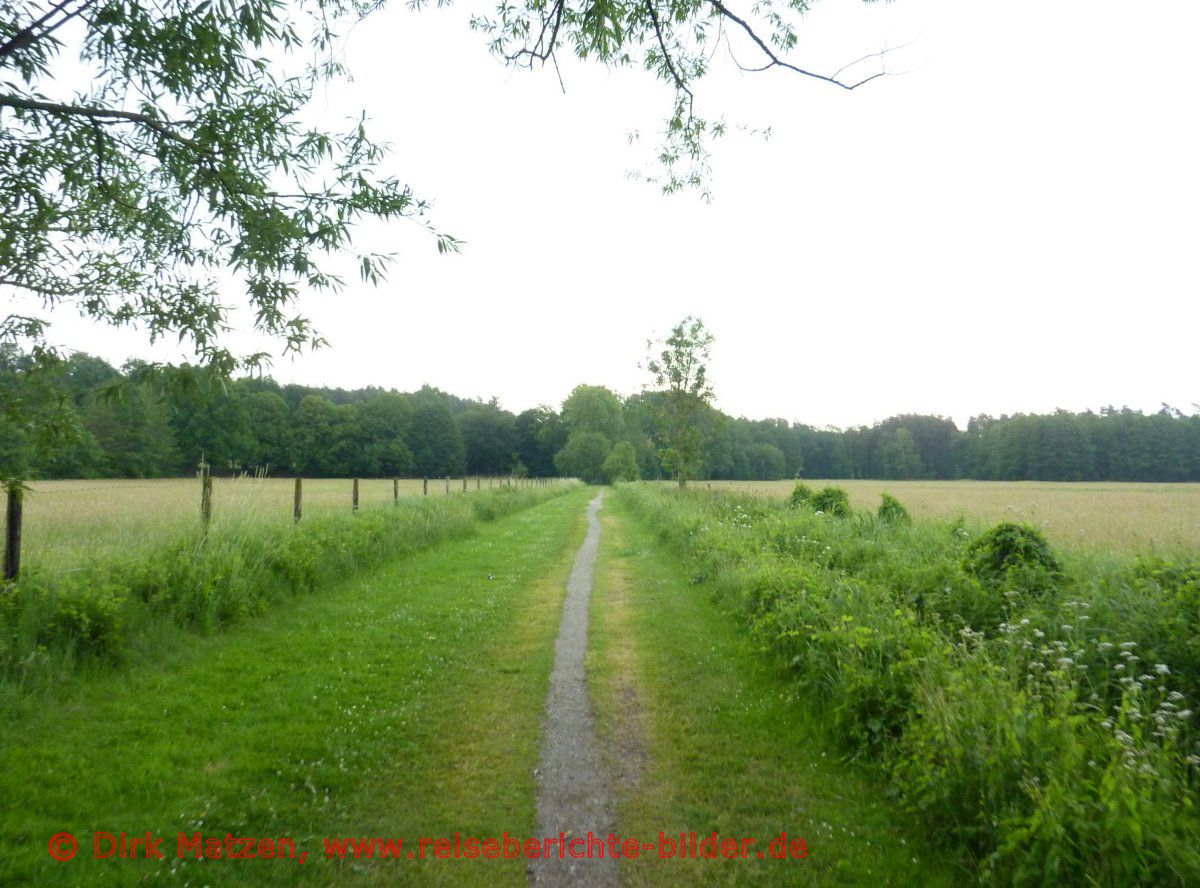 Ilmenauradweg, bei Uelzen