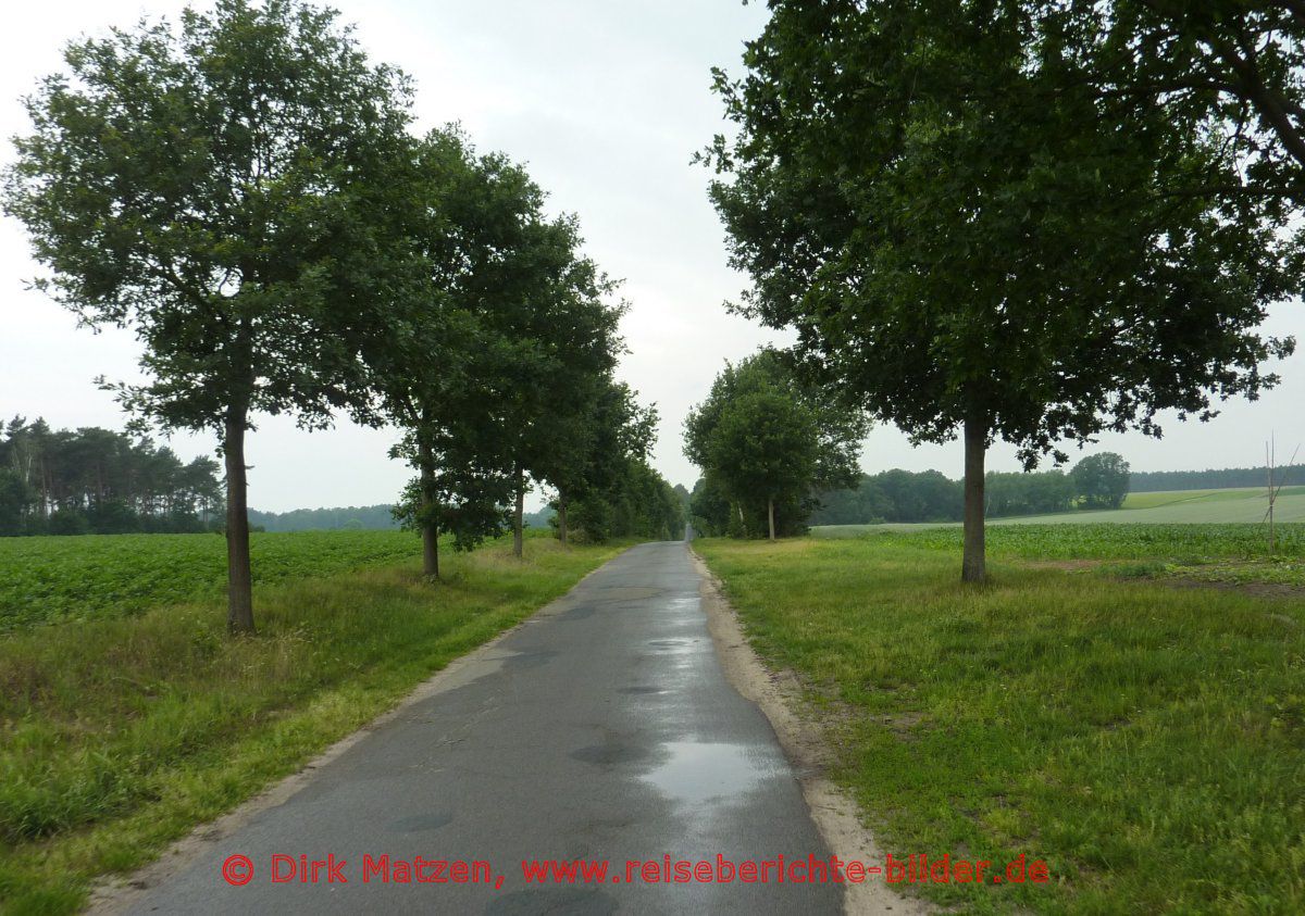 Ilmenauradweg, bei Hohenbostel