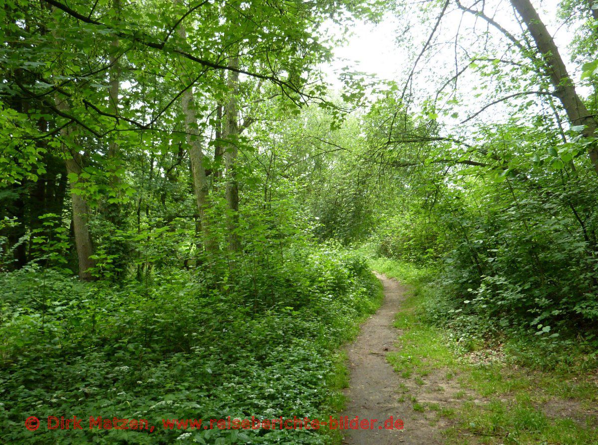 Ilmenauradweg bei Hcklingen