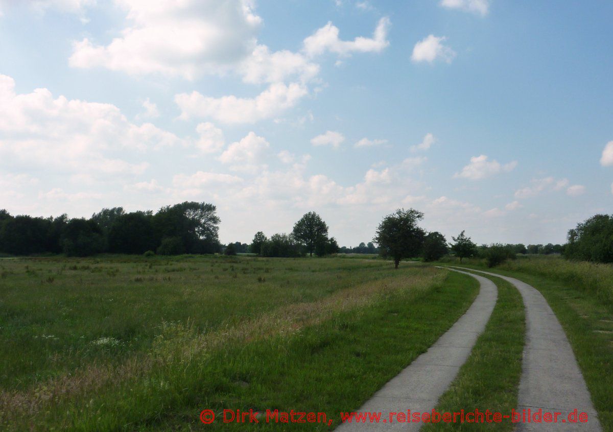 Ilmenauradweg, Radweg bei Tönnhausen