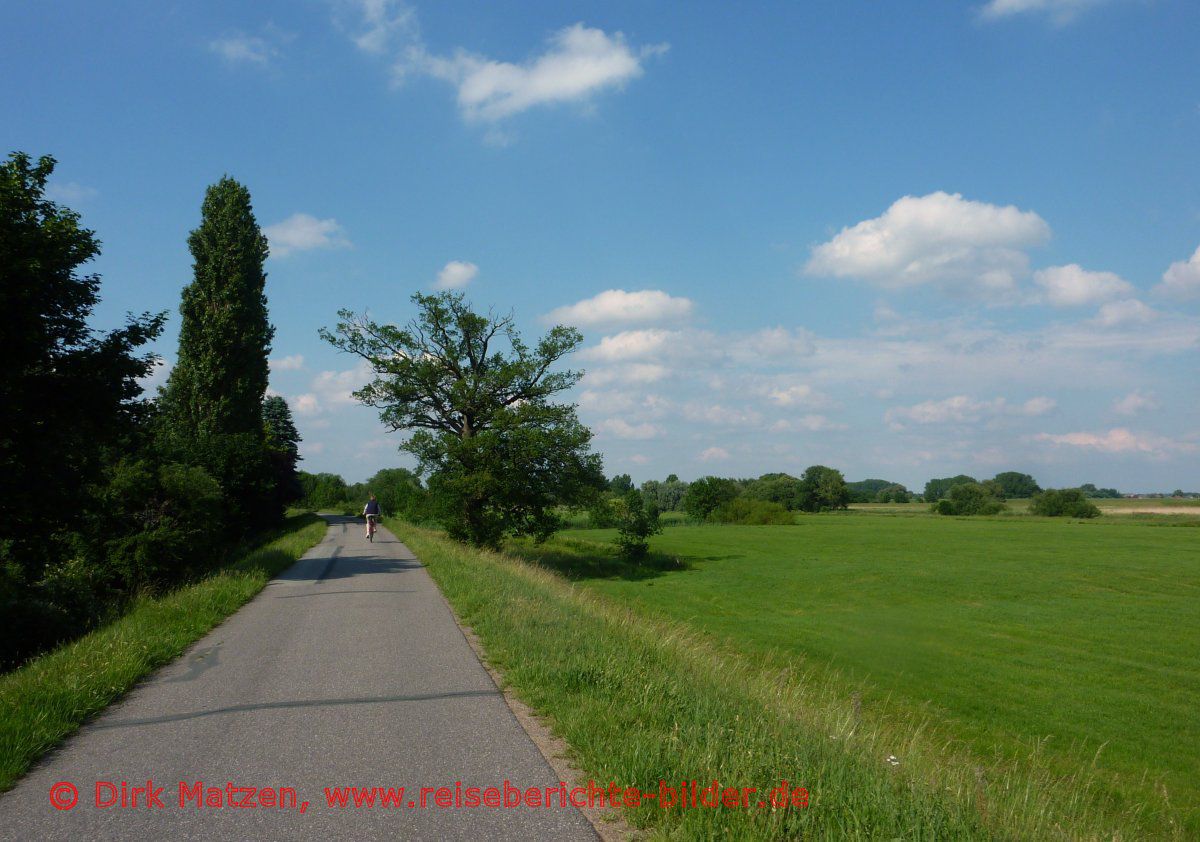 Ilmenauradweg bei Stckte