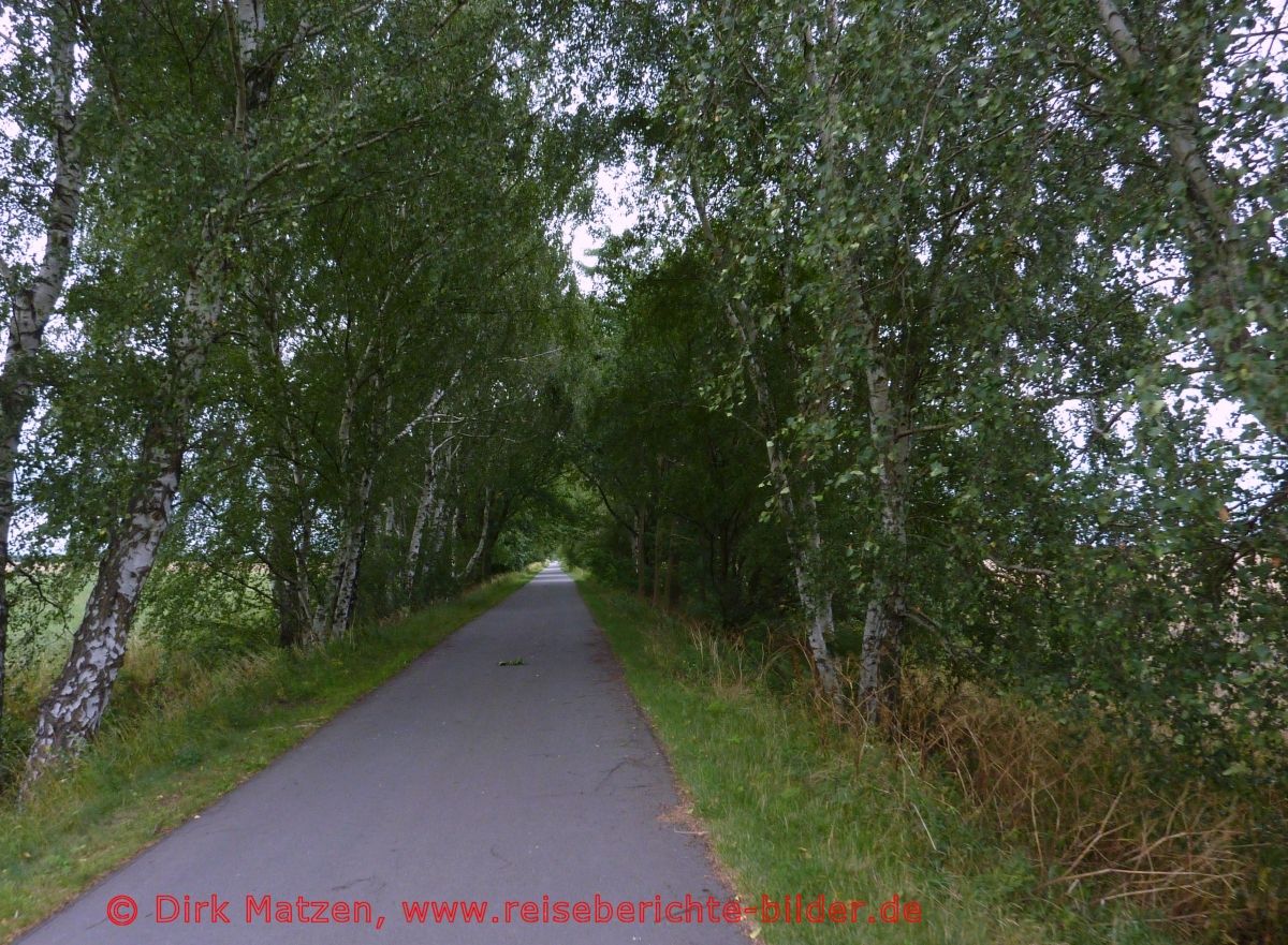 Oderbruchbahn-Radweg, hinter Fürstenwalde