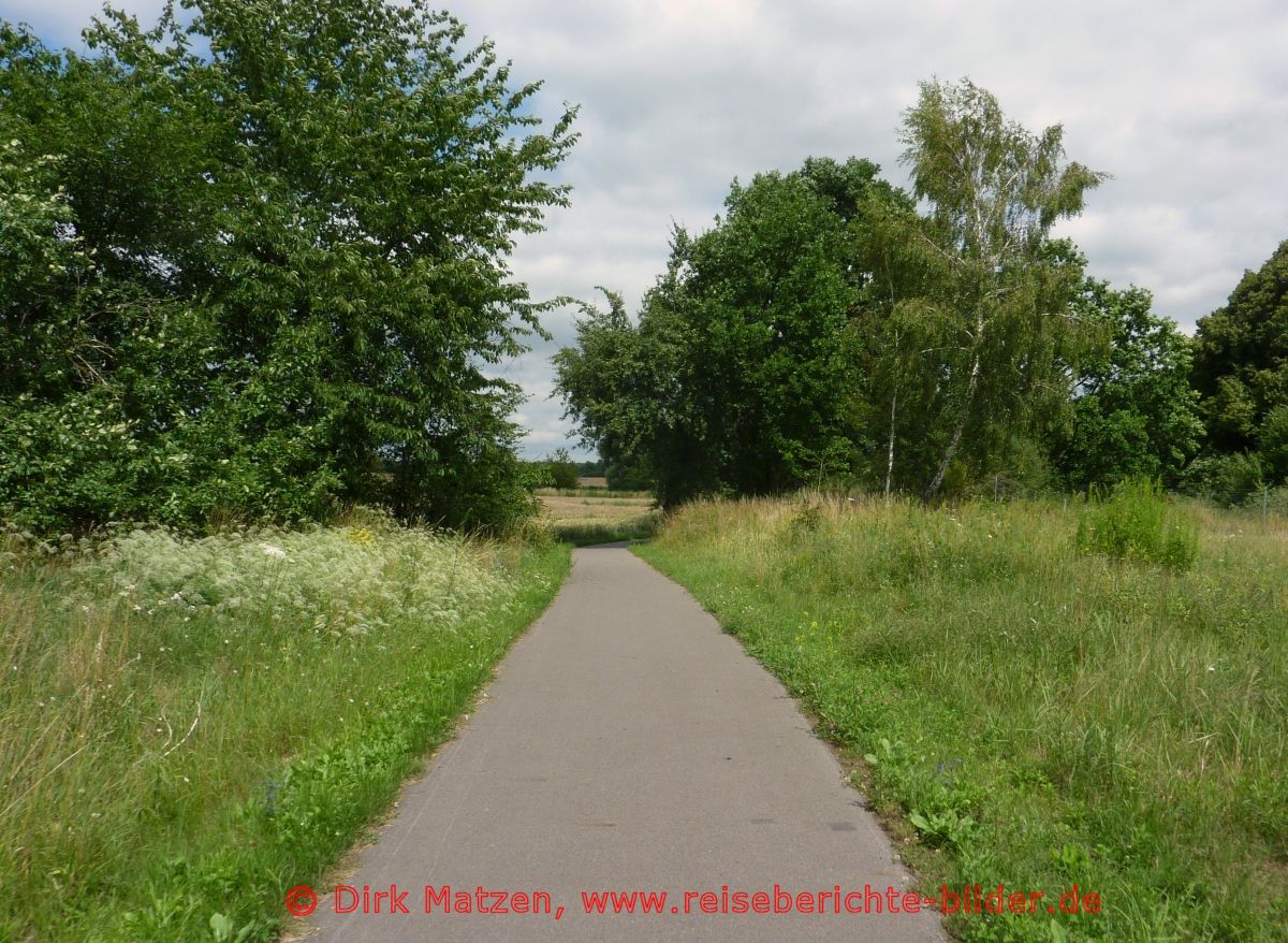 Oderbruchbahn-Radweg, bei Steinhfel
