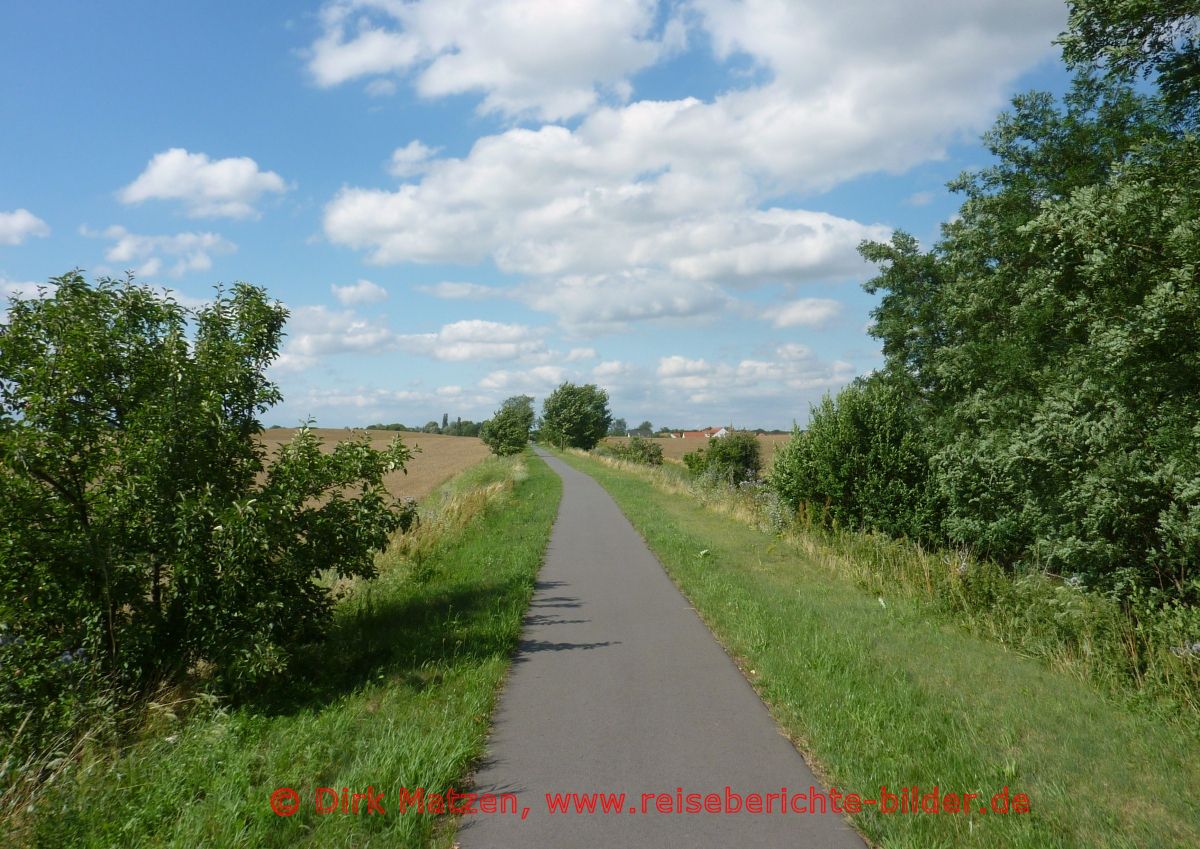 Oderbruchbahn-Radweg, Radweg bei Lietzen