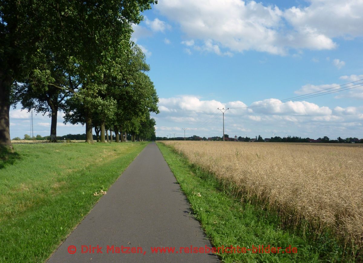 Oderbruchbahn-Radweg, bei Libbenichen