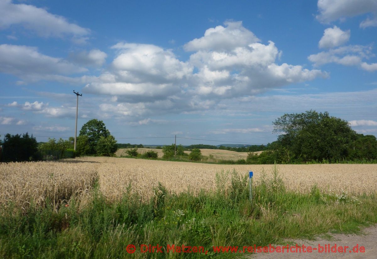 Oderbruchbahn-Radweg, Oderhnge Libbenichen