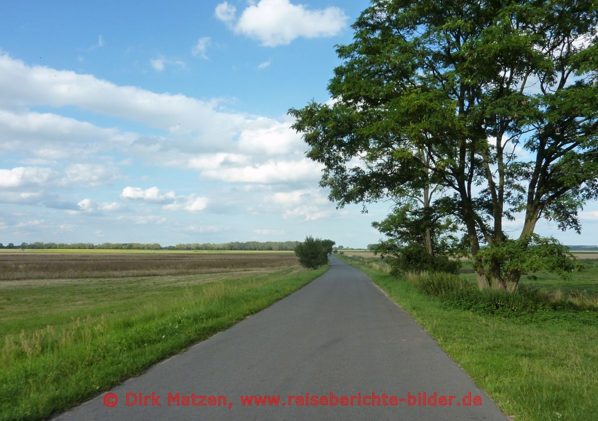 Oderbruchbahn-Radweg, Oderbruch
