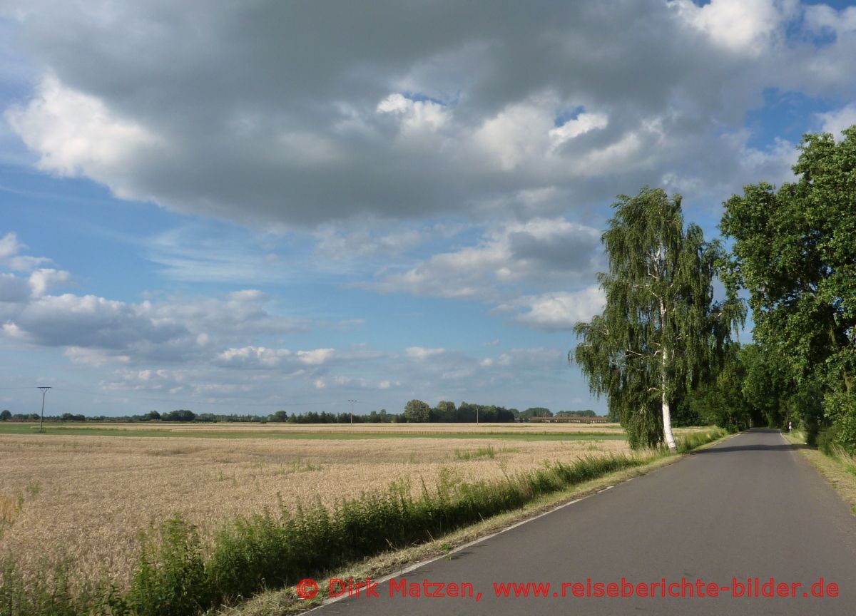 Oderbruchbahn-Radweg, bei Hackenow