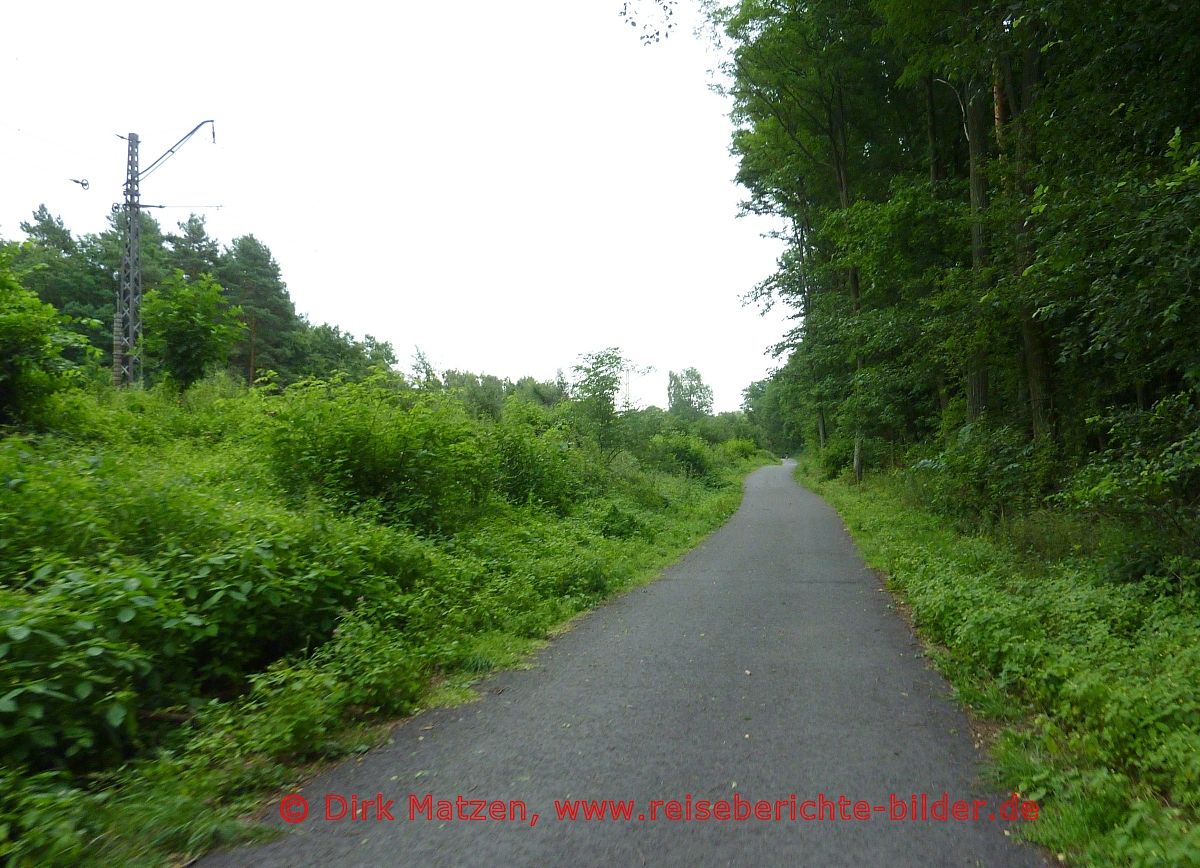 Oderbruchbahn-Radweg, bei Dahmsdorf