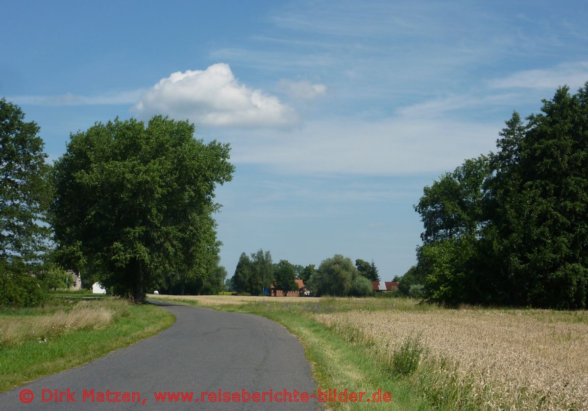 Oderbruchbahn-Radweg, Anfahrt Sophienthal