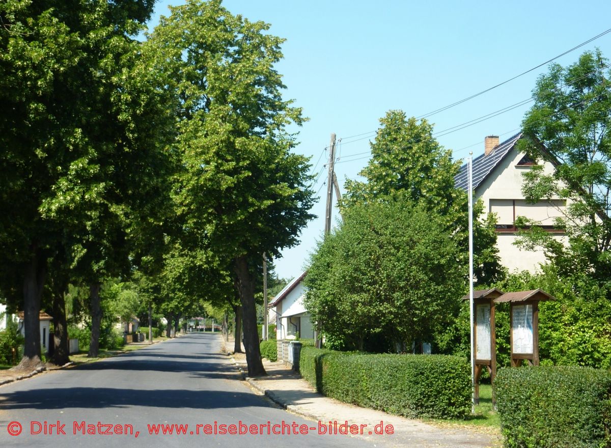 Oderbruchbahn-Radweg, Sophienthal Ortsdurchfahrt