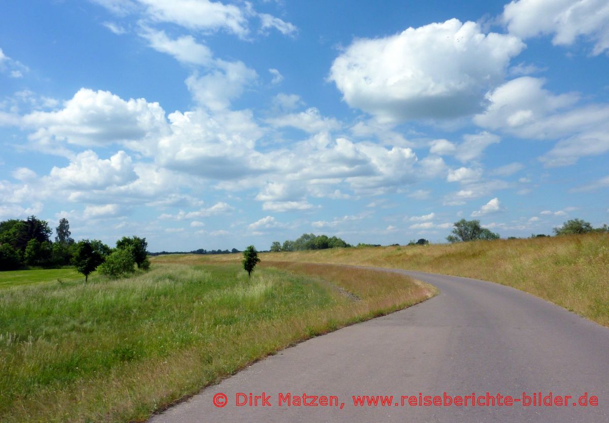 Oderbruchbahn-Radweg, Oderbruchbahn-Radweg am Oderdeich