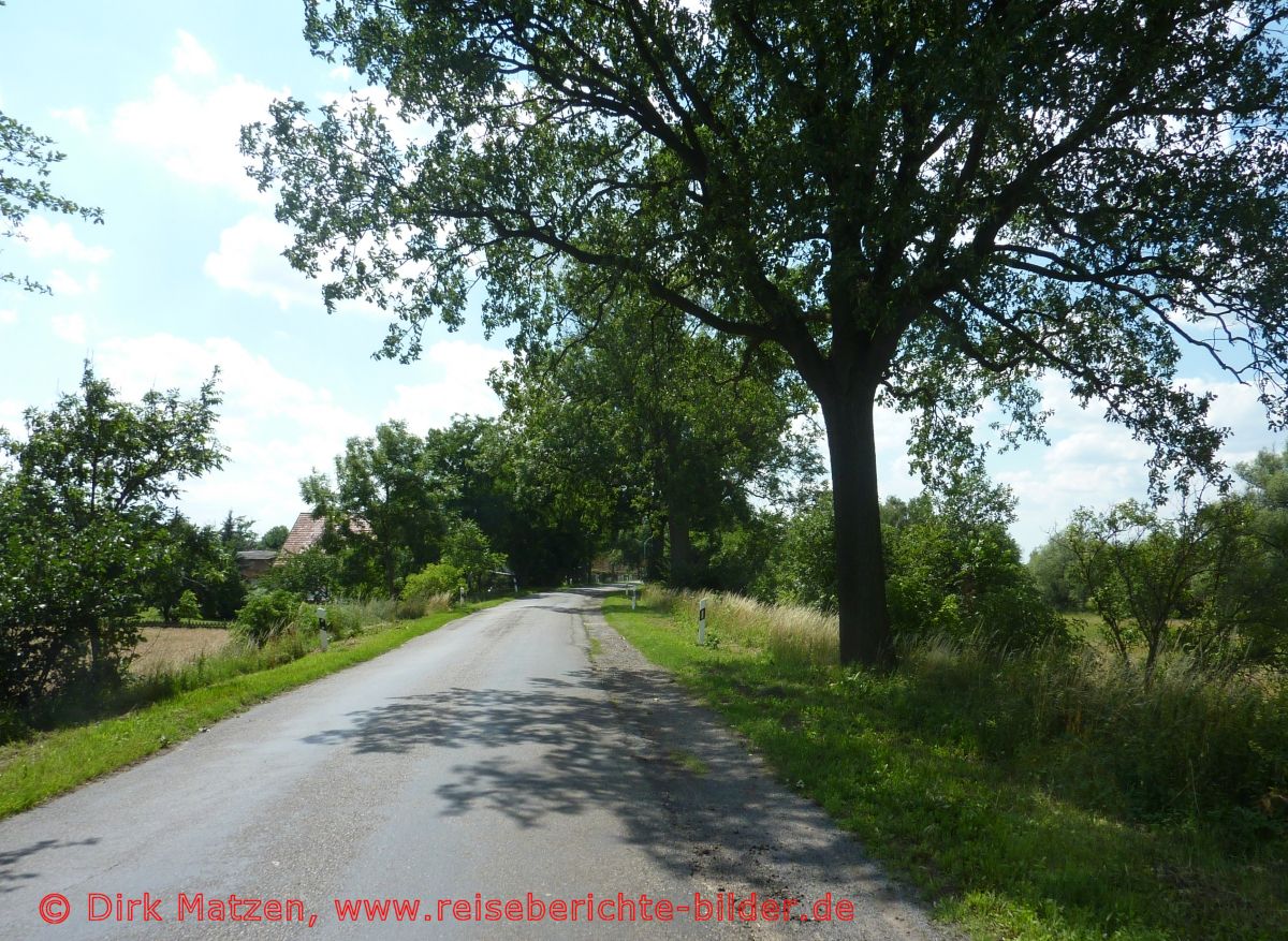 Oderbruchbahn-Radweg, Strasse bei Altwriezen