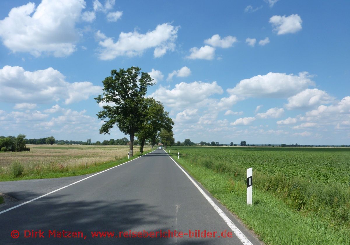 Oderbruchbahn-Radweg, Strasse bei Neukietz