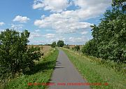radweg-bei-lietzen