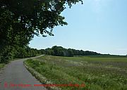 radweg-hinter-muencheberg