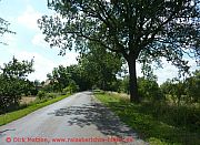 strasse-bei-altwriezen