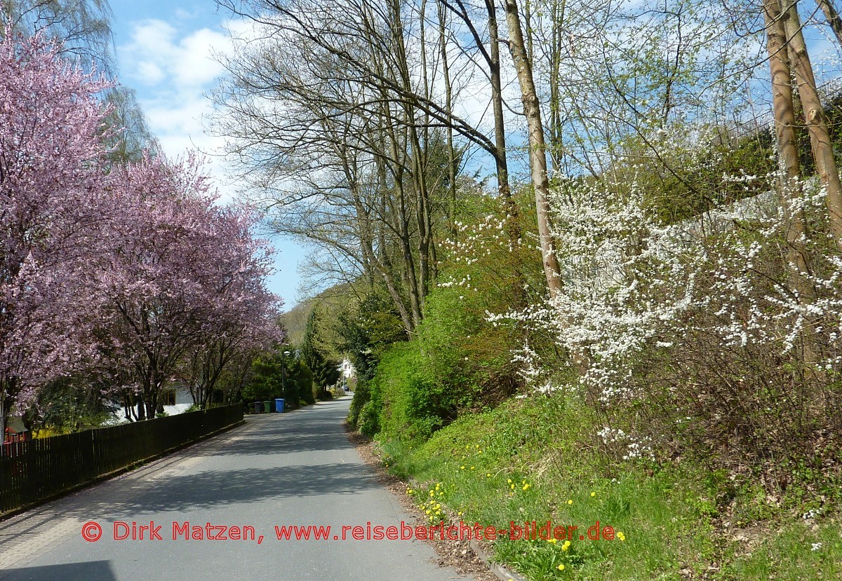 Radtour Ruhrtalradweg, Frhling in Olsberg