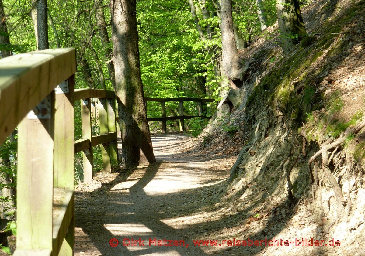 Radtour Ruhrtalradweg, Wald-Radweg bei Hesten