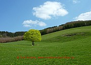 ruhrtalradweg-fruehling