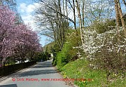 ruhrtalradweg-olsberg