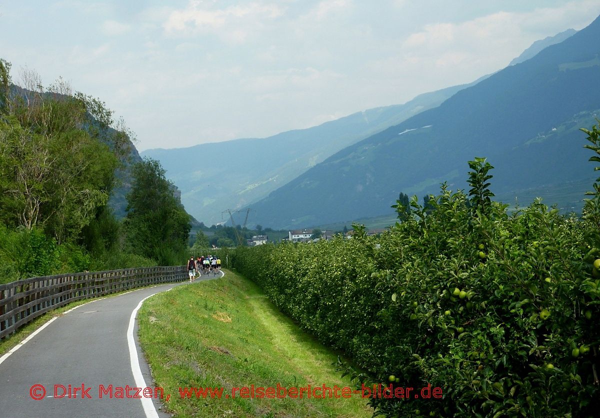 Transalp, Vinschgau Apfelbume