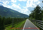 vinschgau