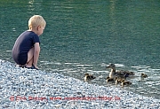 begegnung-kind-enten