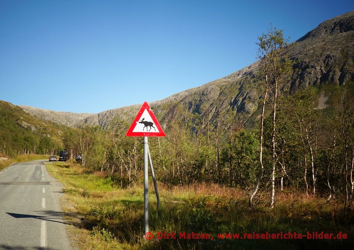 Vorsicht-Elch-Schild