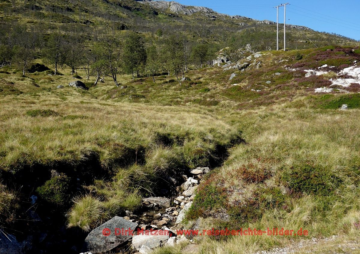 Polare Landschaft