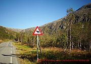 vorsicht-elch-schild