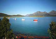 boote-kattfjorden