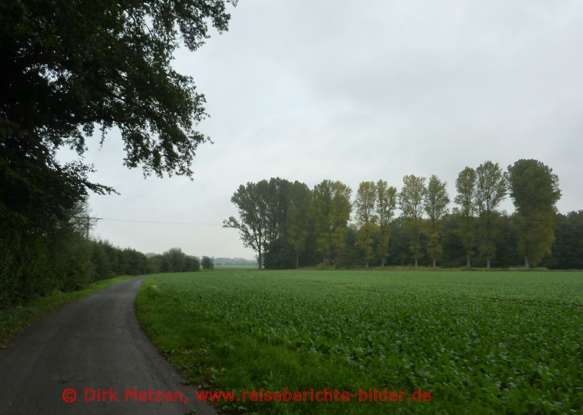 Vechtetal-Route, Mnsterland