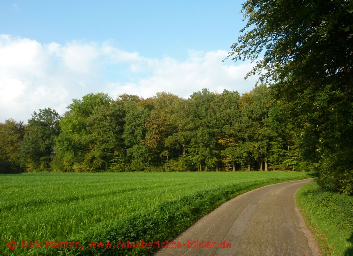 Vechtetal-Route, Vor Metelen