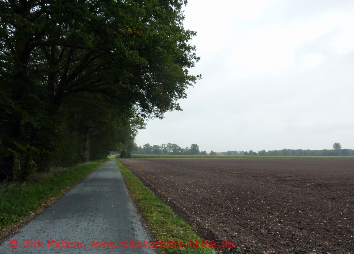 Vechtetal-Route, bei Metelen